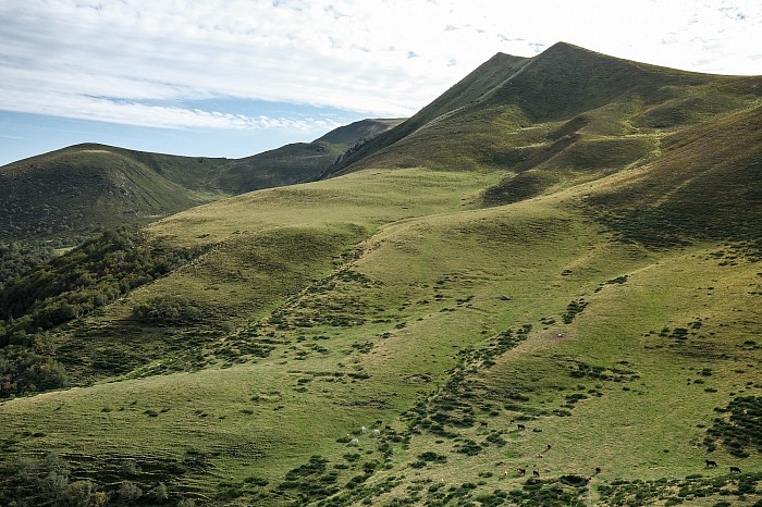 L'Auvergne