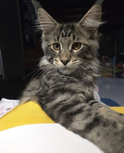 Athos est né 19 mai 2025