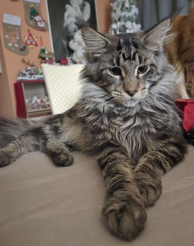 Athos est né 19 mai 2025