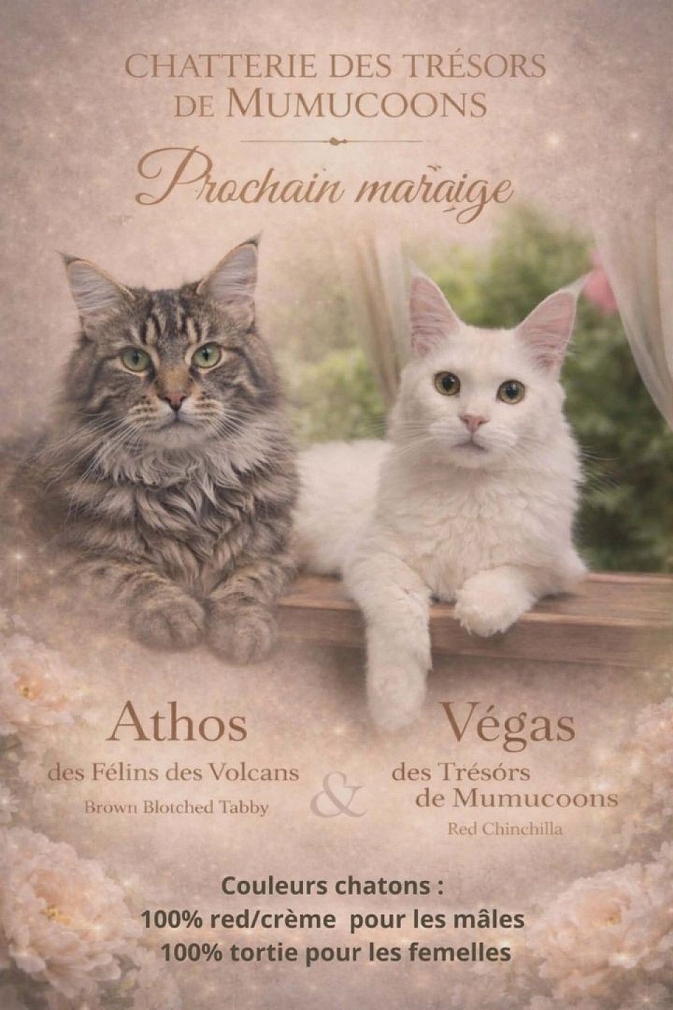 Mariage prévue mi 2026